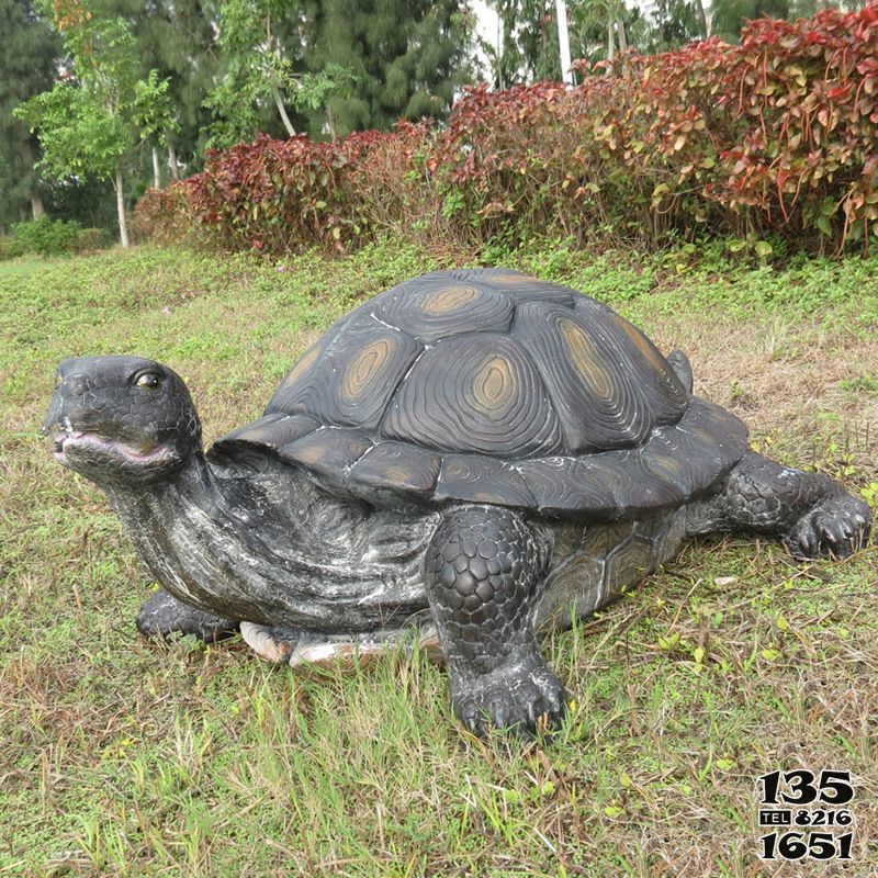 烏龜雕塑-戶外草坪創(chuàng)意仿真動物玻璃鋼烏龜雕塑高清圖片