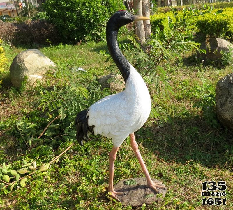 仙鶴雕塑-戶外玻璃鋼彩繪仿真動物公園景觀仙鶴雕塑高清圖片