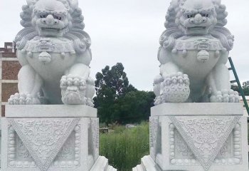 獅子雕塑-公園廣場(chǎng)漢白玉石雕兩只獅子雕塑