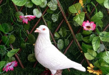 鴿子雕塑-花園玻璃鋼仿真動(dòng)物裝飾品工藝鴿子雕塑