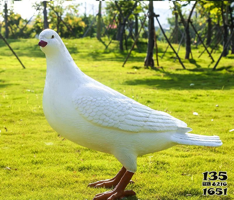 鴿子雕塑-草坪公園仿真動物玻璃鋼鴿子雕塑高清圖片