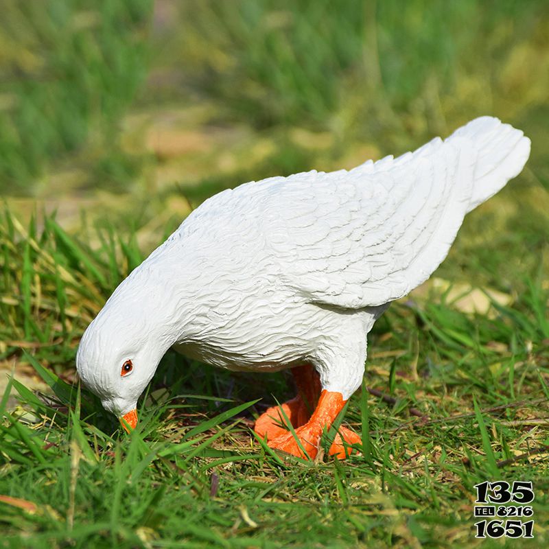 鴿子雕塑-公園戶外景區創意玻璃鋼仿真覓食鴿子雕塑高清圖片