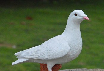 鴿子雕塑-公園戶外創意仿真動物裝飾品擺件鴿子雕塑