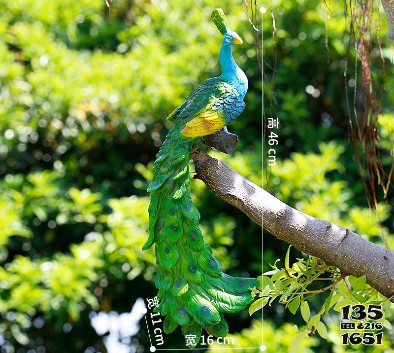 孔雀雕塑-公園樹(shù)上擺放的樹(shù)脂彩繪孔雀雕塑高清圖片