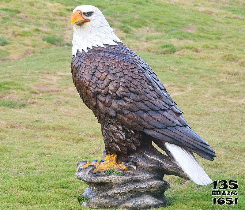 老鷹雕塑-動(dòng)物園一只孤獨(dú)的樹(shù)脂老鷹雕塑高清圖片