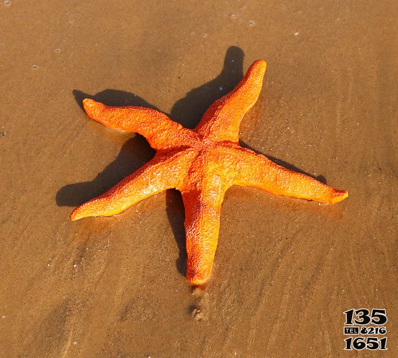 海星雕塑-公園街道擺放的玻璃鋼創(chuàng)意海星雕塑高清圖片