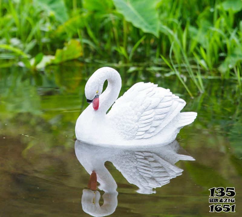 天鵝雕塑-水池庭院景觀樹脂天鵝雕塑高清圖片