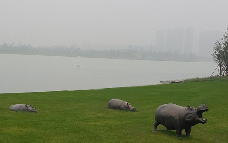 銅雕河馬公園動(dòng)物雕塑-公園動(dòng)物銅雕河馬