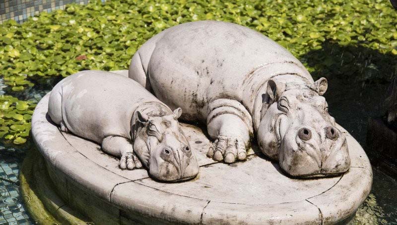 石雕母子河馬-石雕河馬公園動物雕塑高清圖片