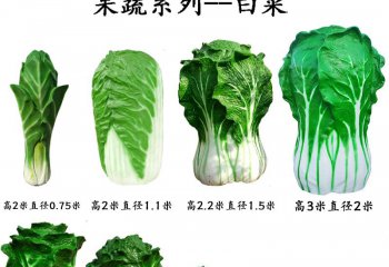 玻璃鋼果蔬白菜雕塑-玻璃鋼果蔬白菜雕塑，仿真玻璃鋼白菜雕塑